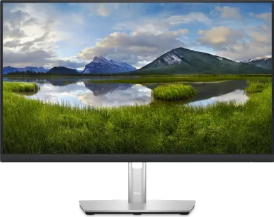 Dell P2423D kaina