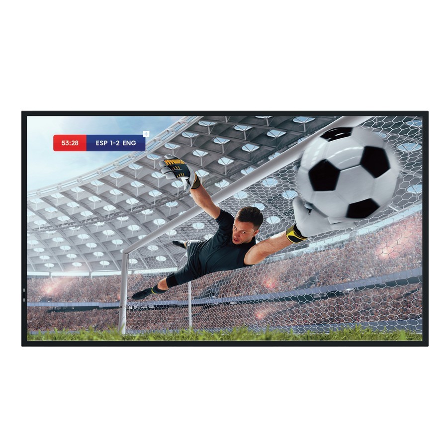 Hisense 86DM66D hind