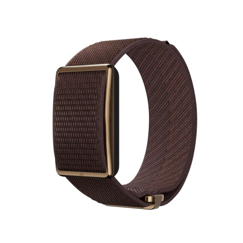 Polar Loop Gen2 hind